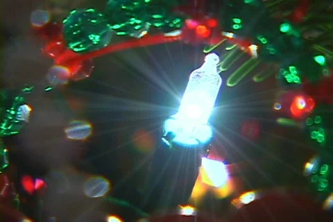 Christmas Tree 10 Video stock 156980