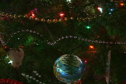 Christmas Tree 11 Vídeo Stock 156982