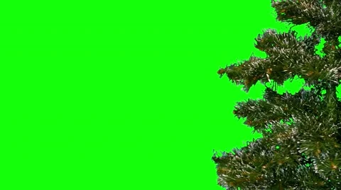 Christmas tree 12 Video stock 51341108