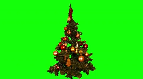 Christmas tree 14 Stock Footage 51353750
