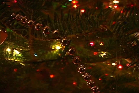 Christmas Tree 2 Video stock 156964