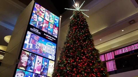 Christmas tree 2 Stock Footage 102129322