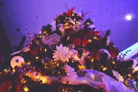 Christmas Tree 3 Stock Photos