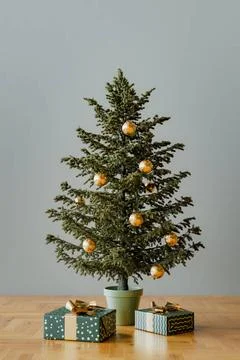 Christmas tree 3d rendering Decorated Christmas tree with parcels. High qu... Stock Photos