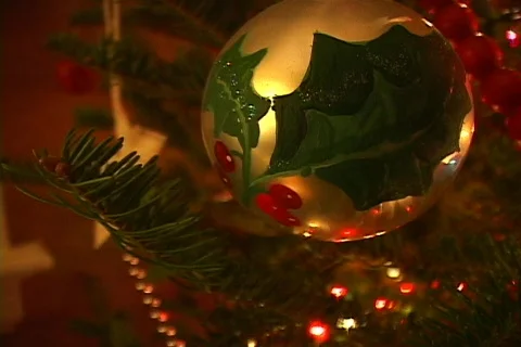 Christmas Tree 4 Video stock 156970