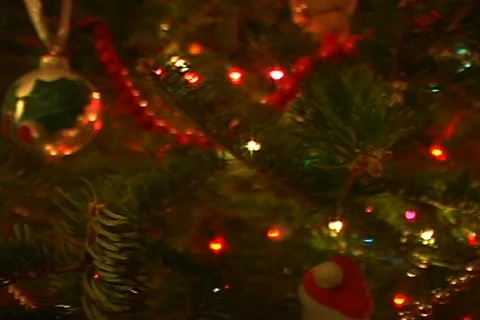 Christmas Tree 5 Vídeo Stock 156972
