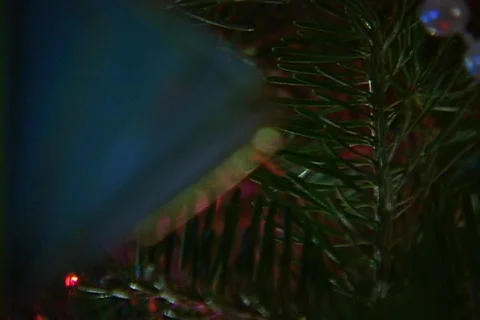 Christmas Tree 8 Video stock 156977