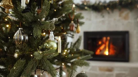 Christmas tree against burning fireplace Stock Footage 249829902