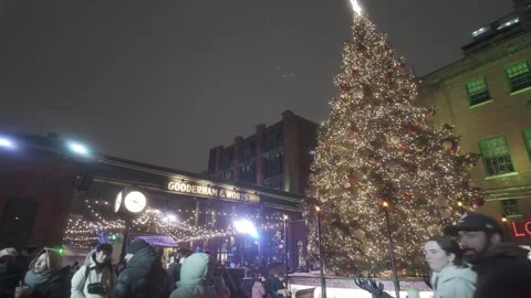 Christmas tree and crowd at Distillery District Winter Village, Toronto Stock Footage 325097812