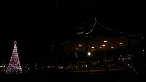 Christmas tree and decorations in the park Stock Footage 83305042