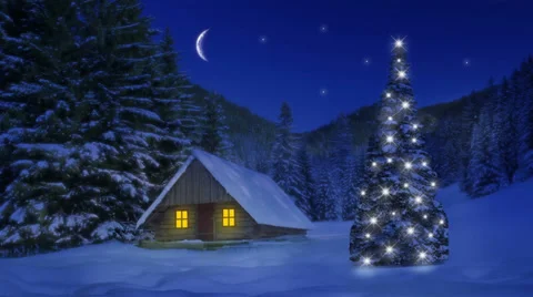 Christmas tree and evening winter time, outdoor scene Stock Footage 32874548