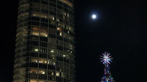 Christmas tree and full moon Video stock 33624256