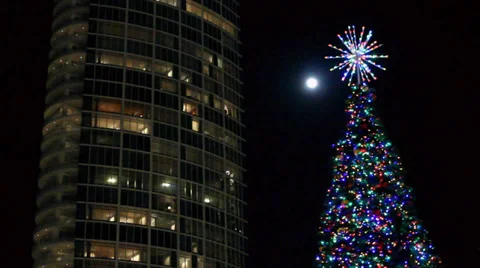Christmas tree and full moon Stockbeeldmateriaal 33624989