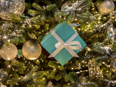 Christmas tree and gift box Stock Photos