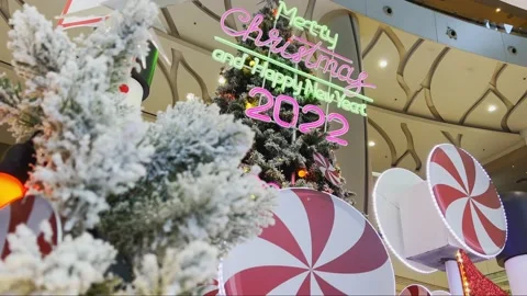 Christmas Tree and gift 스톡 동영상 165704115