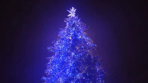 Christmas Tree and Heavy Snowing at the Nigh Stock Footage 69102301
