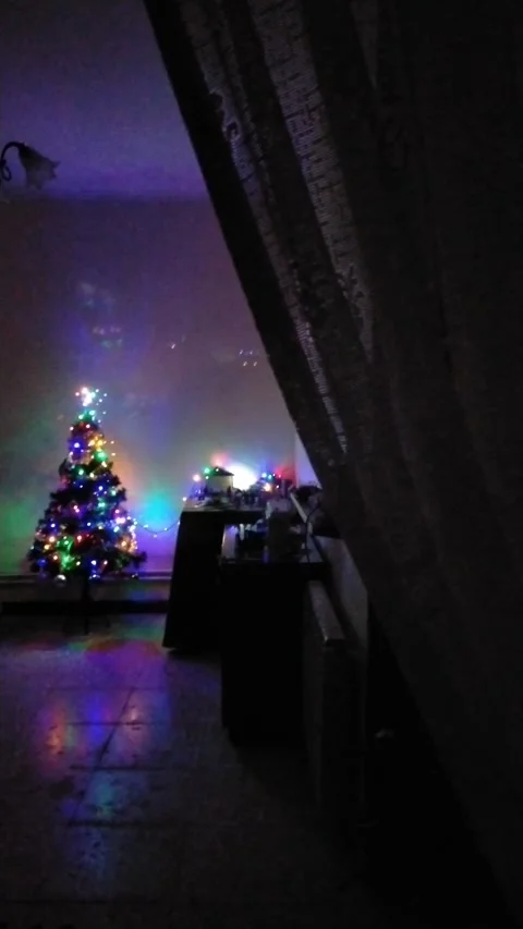 Christmas tree and Nativity scene Video stock 326534104