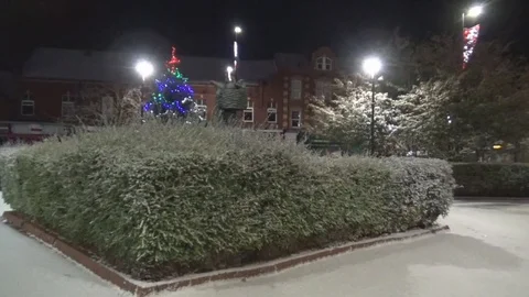 Christmas tree and snow Stock Footage 83793097