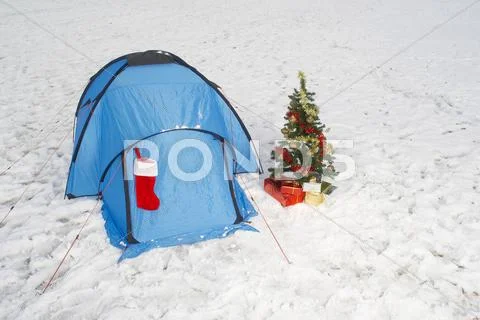 Christmas Tree And Tent In Snow