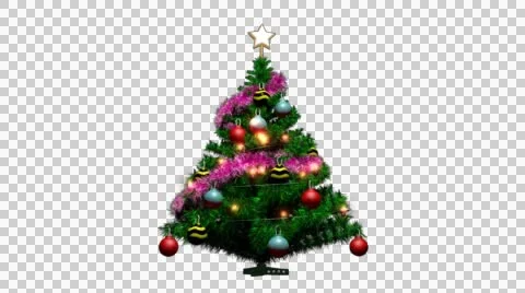 Christmas Tree Animation With Transparency Stock Footage 44411528