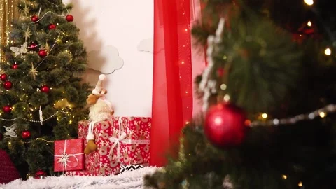 A Christmas tree in the background, another Christmas tree in the foreground. Stock Footage 166003868
