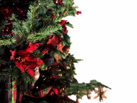 Christmas tree background with empty white space Foto stock