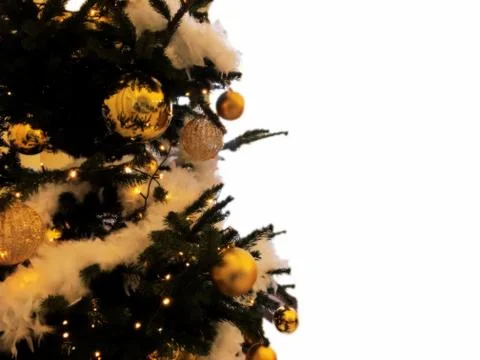 Christmas tree background with empty white space Stock Photos