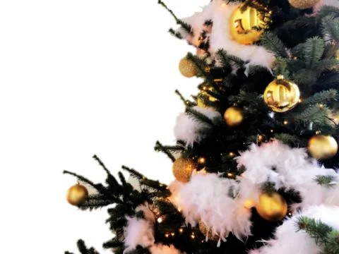 Christmas tree background with empty white space Stock Photos
