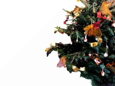 Christmas tree background with empty white space Stock Photos