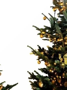 Christmas tree background with empty white space Stock Photos