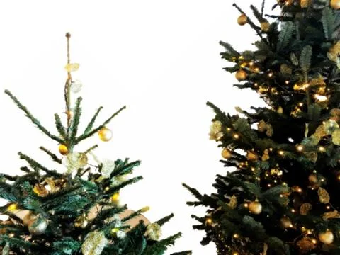 Christmas tree background with empty white space Stock Photos