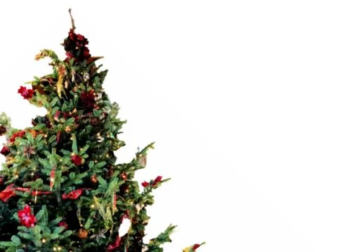Christmas tree background with empty white space Stock Photos