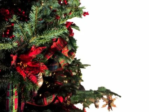 Christmas tree background with empty white space Stock Photos