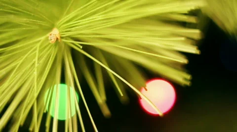 Christmas tree background Stock Footage