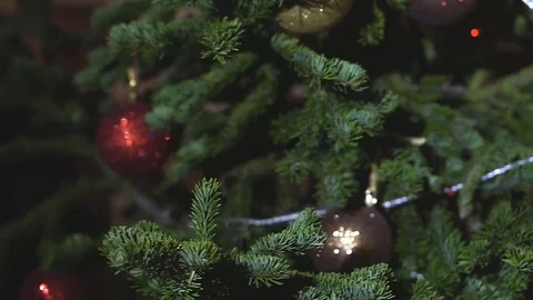 Christmas tree background Stock Footage 83785796