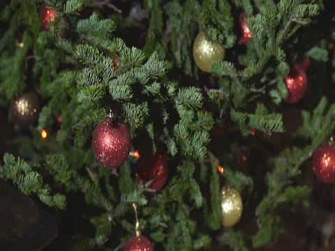 Christmas tree background 库存影片 83786880