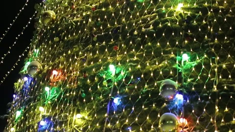Christmas tree background. Stock Footage 309348351