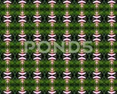 Christmas tree background Stock Illustration