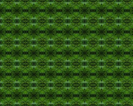 Christmas tree background Stock Illustration