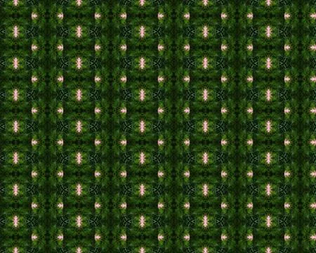 Christmas tree background Stock Illustration