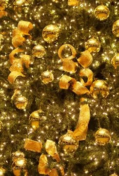 Christmas tree background 스톡 사진