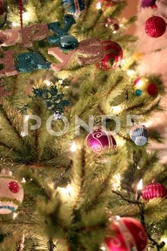 Christmas Tree Background Stock Photos