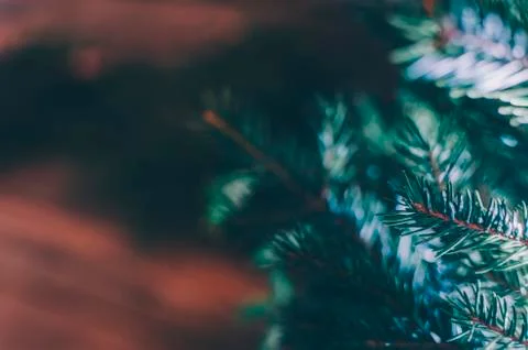Christmas Tree Background Stock Photos