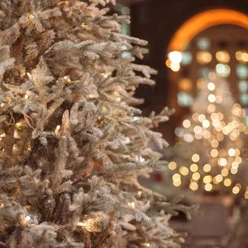 Christmas tree background Stock Photos