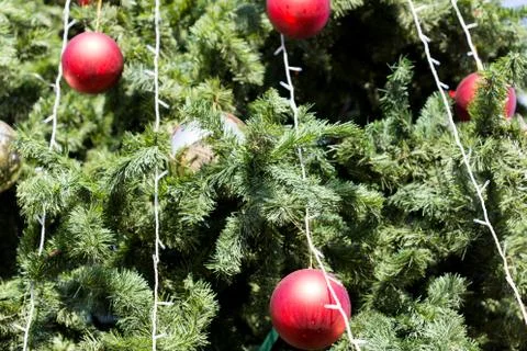 Christmas tree background Stock Photos