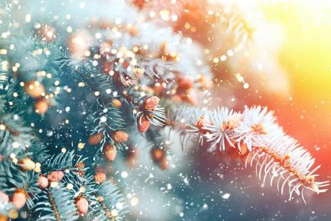 Christmas tree background Stock Photos