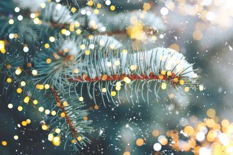 Christmas tree background Stock Photos