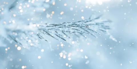 Christmas tree background Stock Photos