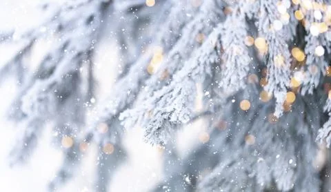 Christmas tree background Stock Photos