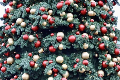 Christmas tree background Stock Photos